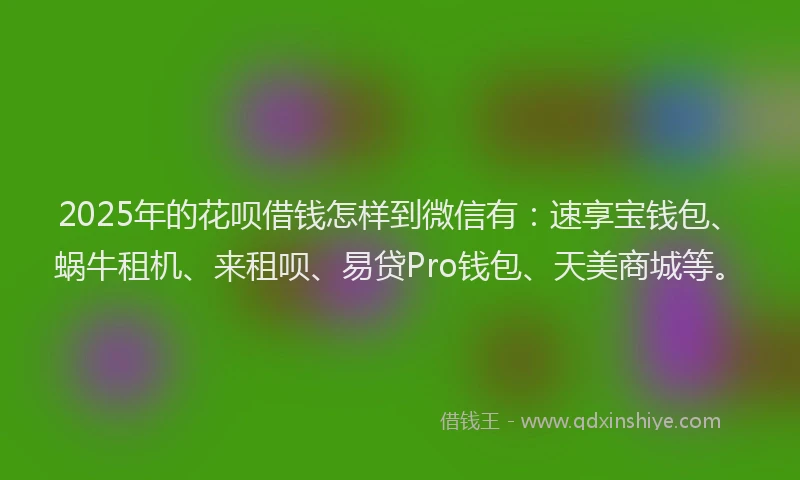 2025年的花呗借钱怎样到微信有：速享宝钱包、蜗牛租机、来租呗、易贷Pro钱包、天美商城等。