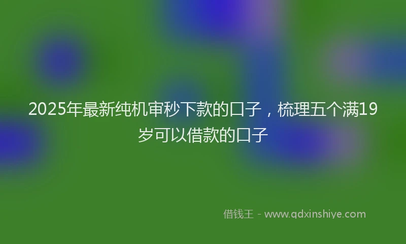 2025年最新纯机审秒下款的口子，梳理五个满19岁可以借款的口子