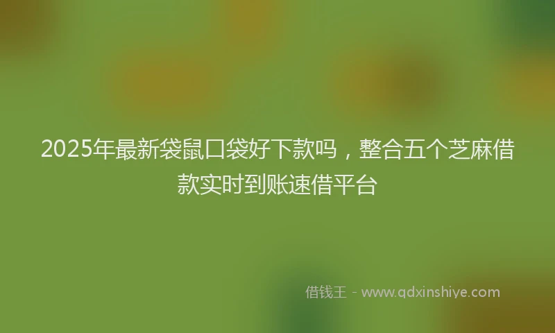 2025年最新袋鼠口袋好下款吗，整合五个芝麻借款实时到账速借平台