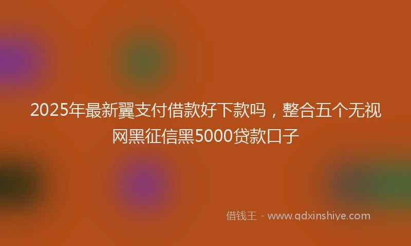 2025年最新翼支付借款好下款吗，整合五个无视网黑征信黑5000贷款口子