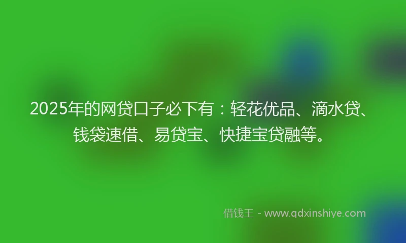 2025年的网贷口子必下有：轻花优品、滴水贷、钱袋速借、易贷宝、快捷宝贷融等。