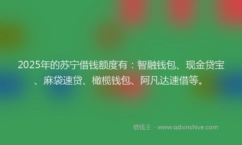 2025年的苏宁借钱额度有：智融钱包、现金贷宝、麻袋速贷、橄榄钱包、阿凡达速借等。