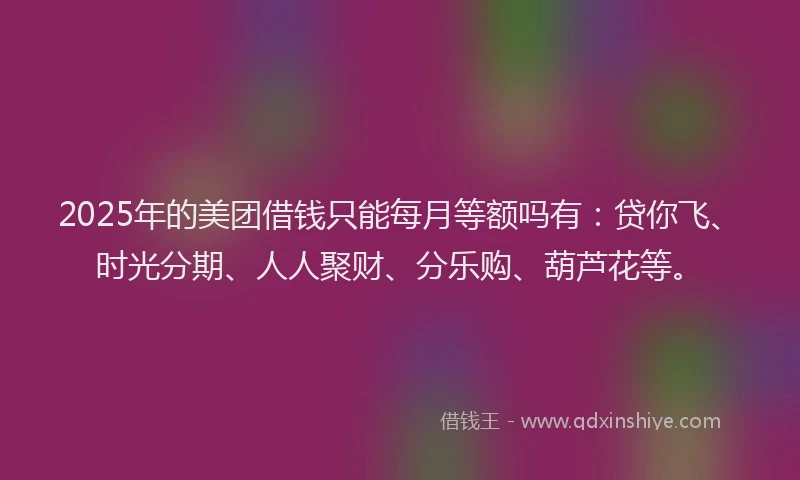 2025年的美团借钱只能每月等额吗有：贷你飞、时光分期、人人聚财、分乐购、葫芦花等。