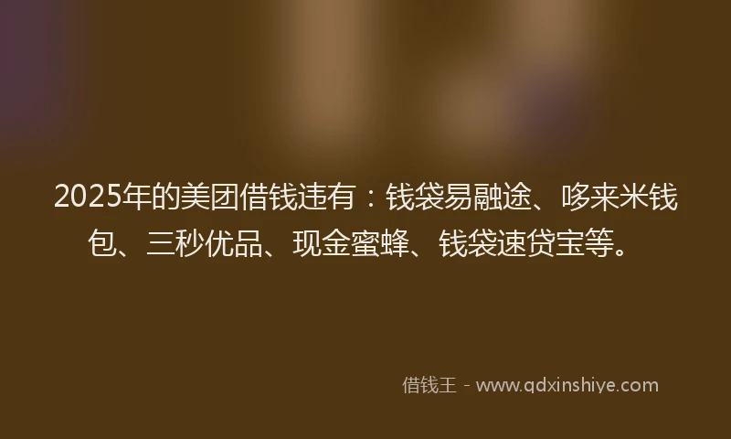 2025年的美团借钱违有：钱袋易融途、哆来米钱包、三秒优品、现金蜜蜂、钱袋速贷宝等。