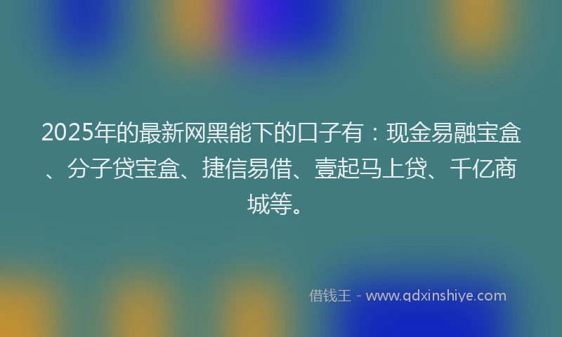 2025年的最新网黑能下的口子有：现金易融宝盒、分子贷宝盒、捷信易借、壹起马上贷、千亿商城等。