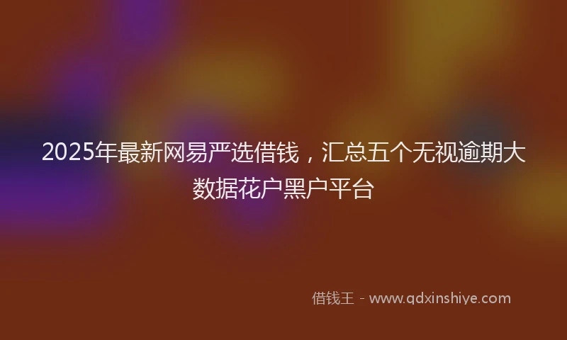 2025年最新网易严选借钱，汇总五个无视逾期大数据花户黑户平台