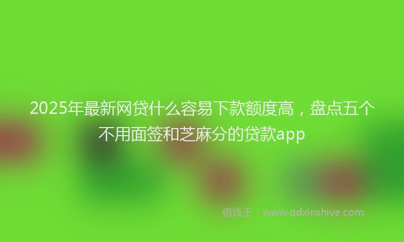 2025年最新网贷什么容易下款额度高，盘点五个不用面签和芝麻分的贷款app