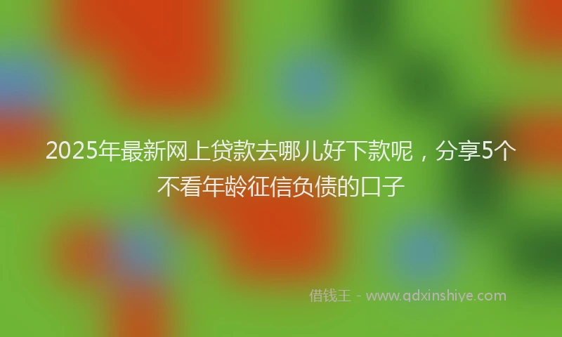 2025年最新网上贷款去哪儿好下款呢，分享5个不看年龄征信负债的口子
