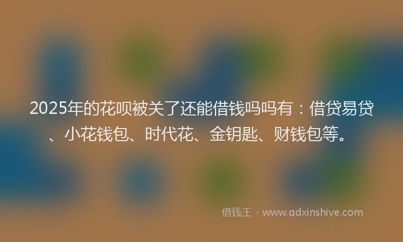 2025年的花呗被关了还能借钱吗吗有：借贷易贷、小花钱包、时代花、金钥匙、财钱包等。