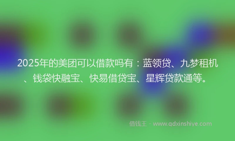 2025年的美团可以借款吗有：蓝领贷、九梦租机、钱袋快融宝、快易借贷宝、星辉贷款通等。