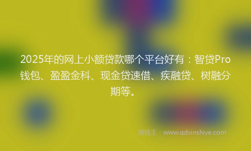 2025年的网上小额贷款哪个平台好有：智贷Pro钱包、盈盈金科、现金贷速借、疾融贷、树融分期等。