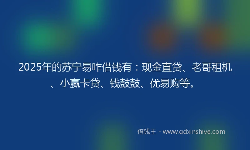 2025年的苏宁易咋借钱有：现金直贷、老哥租机、小赢卡贷、钱鼓鼓、优易购等。