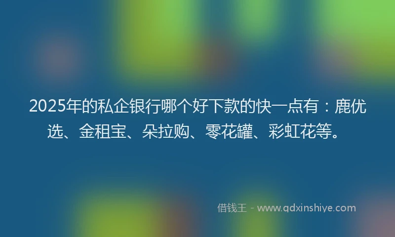 2025年的私企银行哪个好下款的快一点有：鹿优选、金租宝、朵拉购、零花罐、彩虹花等。