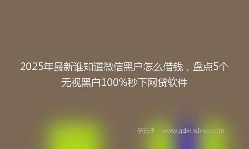 2025年最新谁知道微信黑户怎么借钱，盘点5个无视黑白100%秒下网贷软件
