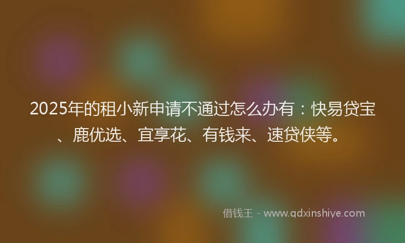 2025年的租小新申请不通过怎么办有：快易贷宝、鹿优选、宜享花、有钱来、速贷侠等。