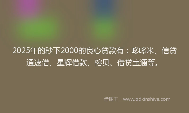 2025年的秒下2000的良心贷款有：哆哆米、信贷通速借、星辉借款、榕贝、借贷宝通等。