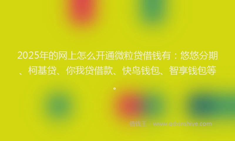 2025年的网上怎么开通微粒贷借钱有：悠悠分期、柯基贷、你我贷借款、快鸟钱包、智享钱包等。
