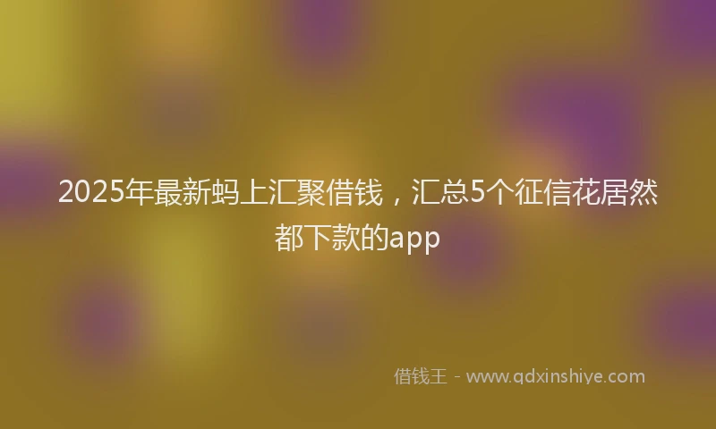 2025年最新蚂上汇聚借钱，汇总5个征信花居然都下款的app
