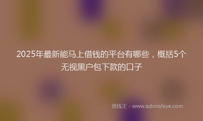 2025年最新能马上借钱的平台有哪些，概括5个无视黑户包下款的口子