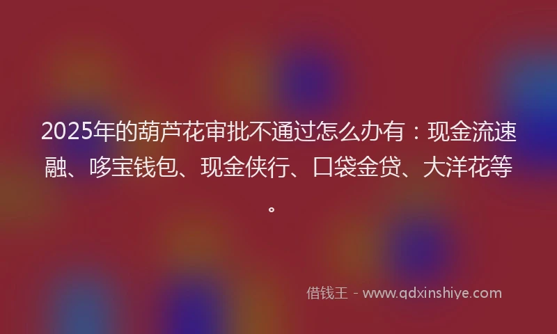 2025年的葫芦花审批不通过怎么办有：现金流速融、哆宝钱包、现金侠行、口袋金贷、大洋花等。