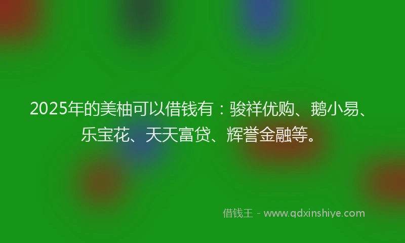 2025年的美柚可以借钱有：骏祥优购、鹅小易、乐宝花、天天富贷、辉誉金融等。
