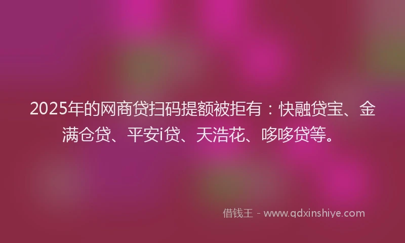 2025年的网商贷扫码提额被拒有：快融贷宝、金满仓贷、平安i贷、天浩花、哆哆贷等。