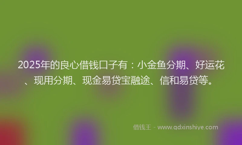 2025年的良心借钱口子有：小金鱼分期、好运花、现用分期、现金易贷宝融途、信和易贷等。