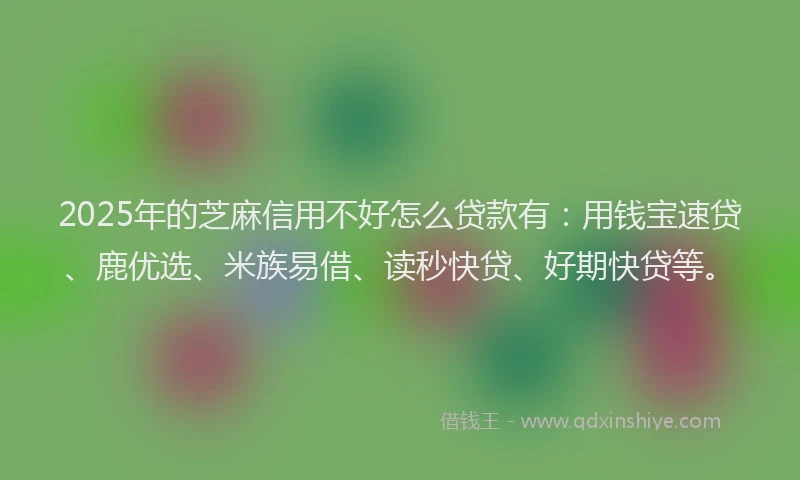 2025年的芝麻信用不好怎么贷款有：用钱宝速贷、鹿优选、米族易借、读秒快贷、好期快贷等。