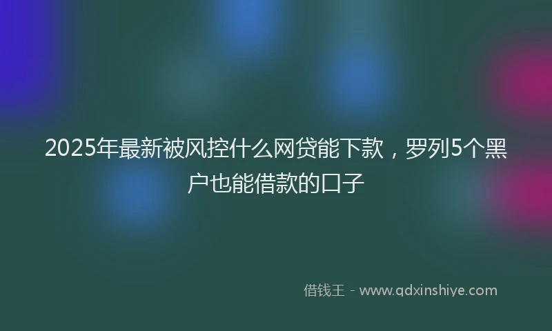 2025年最新被风控什么网贷能下款，罗列5个黑户也能借款的口子
