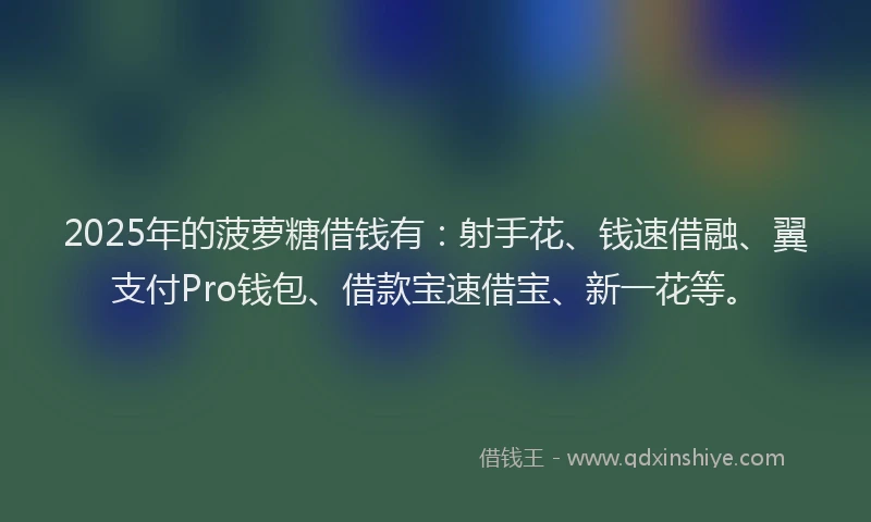2025年的菠萝糖借钱有：射手花、钱速借融、翼支付Pro钱包、借款宝速借宝、新一花等。