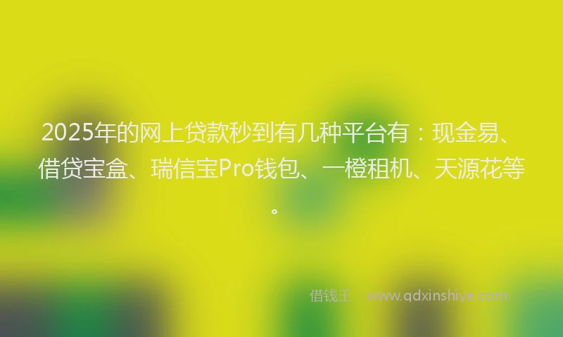 2025年的网上贷款秒到有几种平台有：现金易、借贷宝盒、瑞信宝Pro钱包、一橙租机、天源花等。
