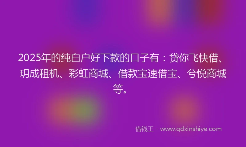 2025年的纯白户好下款的口子有：贷你飞快借、玥成租机、彩虹商城、借款宝速借宝、兮悦商城等。