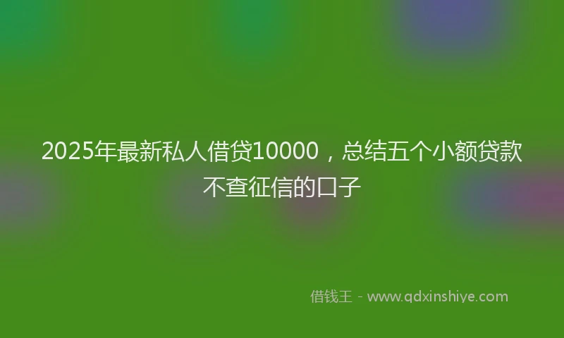 2025年最新私人借贷10000，总结五个小额贷款不查征信的口子