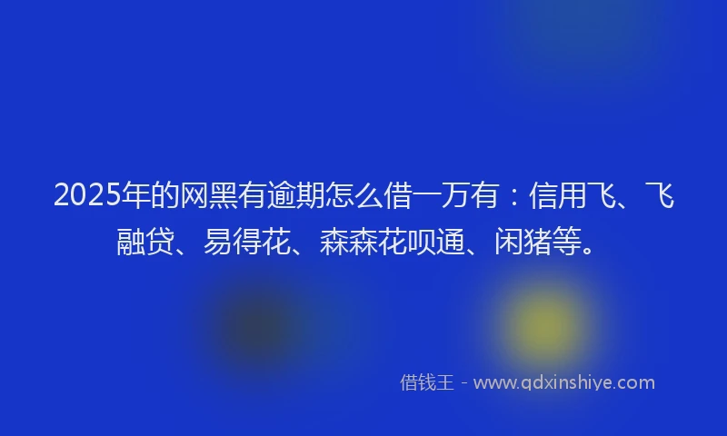 2025年的网黑有逾期怎么借一万有：信用飞、飞融贷、易得花、森森花呗通、闲猪等。