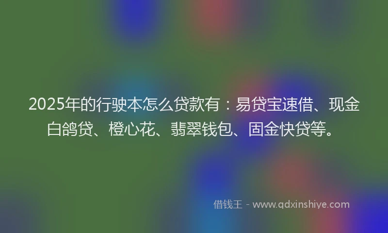 2025年的行驶本怎么贷款有：易贷宝速借、现金白鸽贷、橙心花、翡翠钱包、固金快贷等。