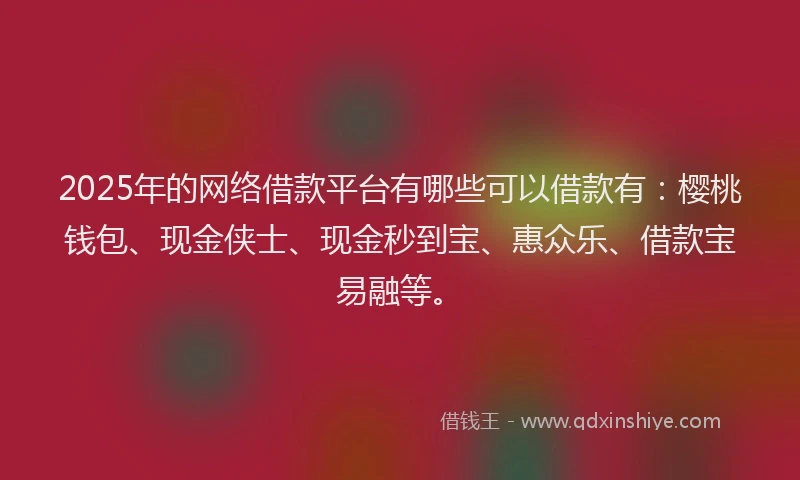 2025年的网络借款平台有哪些可以借款有：樱桃钱包、现金侠士、现金秒到宝、惠众乐、借款宝易融等。