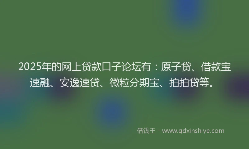 2025年的网上贷款口子论坛有：原子贷、借款宝速融、安逸速贷、微粒分期宝、拍拍贷等。