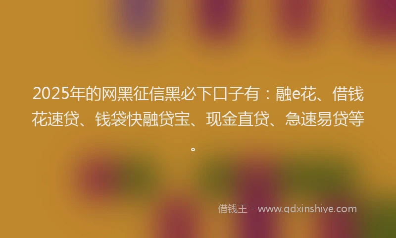 2025年的网黑征信黑必下口子有：融e花、借钱花速贷、钱袋快融贷宝、现金直贷、急速易贷等。