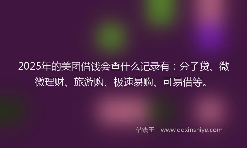 2025年的美团借钱会查什么记录有：分子贷、微微理财、旅游购、极速易购、可易借等。