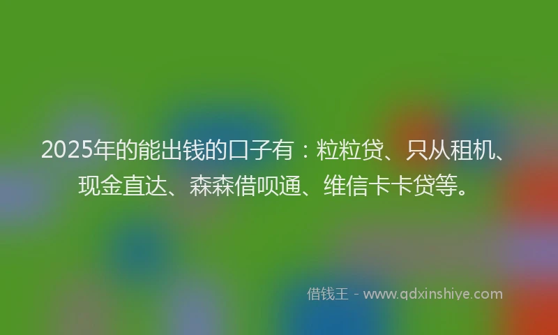 2025年的能出钱的口子有：粒粒贷、只从租机、现金直达、森森借呗通、维信卡卡贷等。
