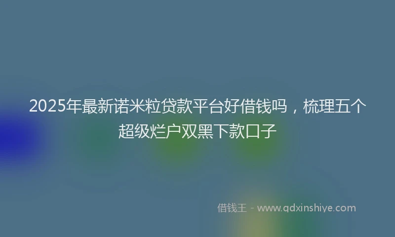 2025年最新诺米粒贷款平台好借钱吗，梳理五个超级烂户双黑下款口子