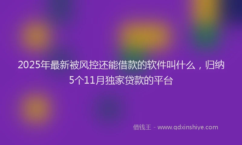 2025年最新被风控还能借款的软件叫什么，归纳5个11月独家贷款的平台