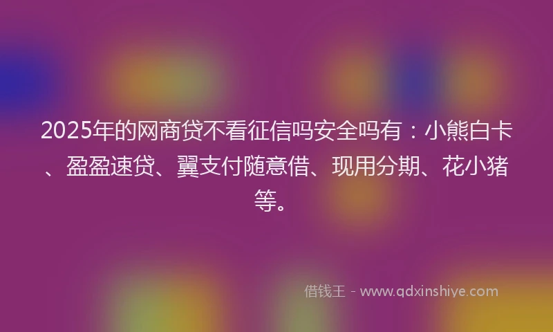 2025年的网商贷不看征信吗安全吗有：小熊白卡、盈盈速贷、翼支付随意借、现用分期、花小猪等。