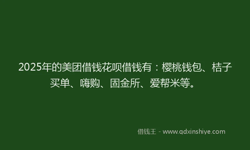 2025年的美团借钱花呗借钱有：樱桃钱包、桔子买单、嗨购、固金所、爱帮米等。