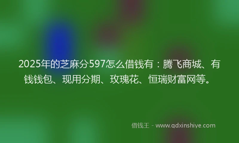 2025年的芝麻分597怎么借钱有：腾飞商城、有钱钱包、现用分期、玫瑰花、恒瑞财富网等。