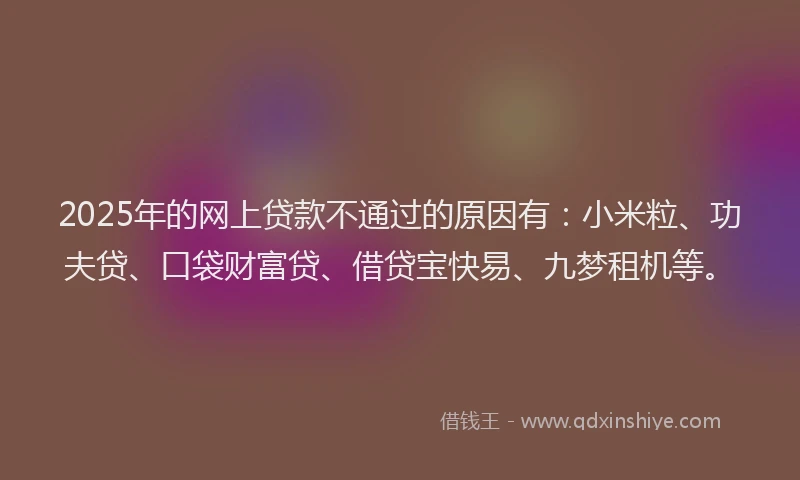 2025年的网上贷款不通过的原因有：小米粒、功夫贷、口袋财富贷、借贷宝快易、九梦租机等。