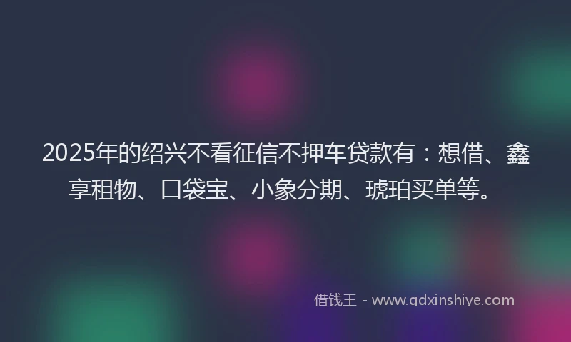 2025年的绍兴不看征信不押车贷款有：想借、鑫享租物、口袋宝、小象分期、琥珀买单等。