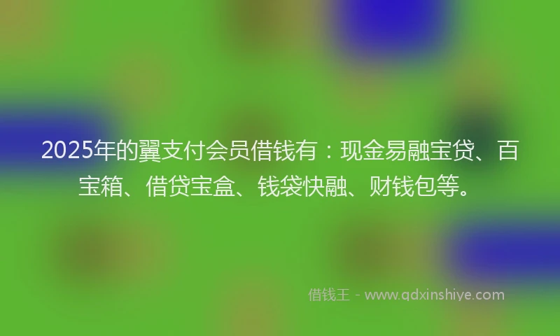 2025年的翼支付会员借钱有：现金易融宝贷、百宝箱、借贷宝盒、钱袋快融、财钱包等。
