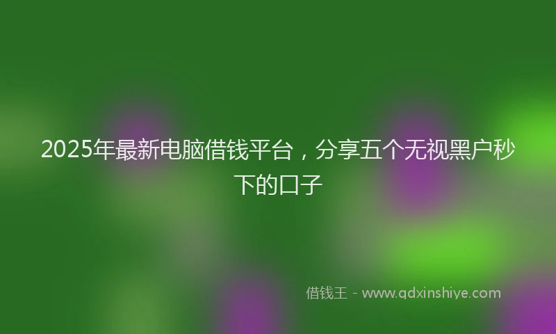 2025年最新电脑借钱平台，分享五个无视黑户秒下的口子