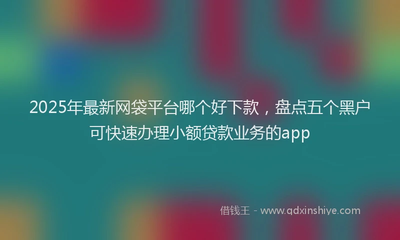 2025年最新网袋平台哪个好下款，盘点五个黑户可快速办理小额贷款业务的app